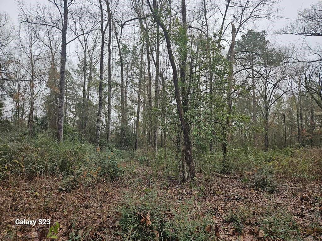 148 Lancewood Circle, Lufkin, Texas image 9