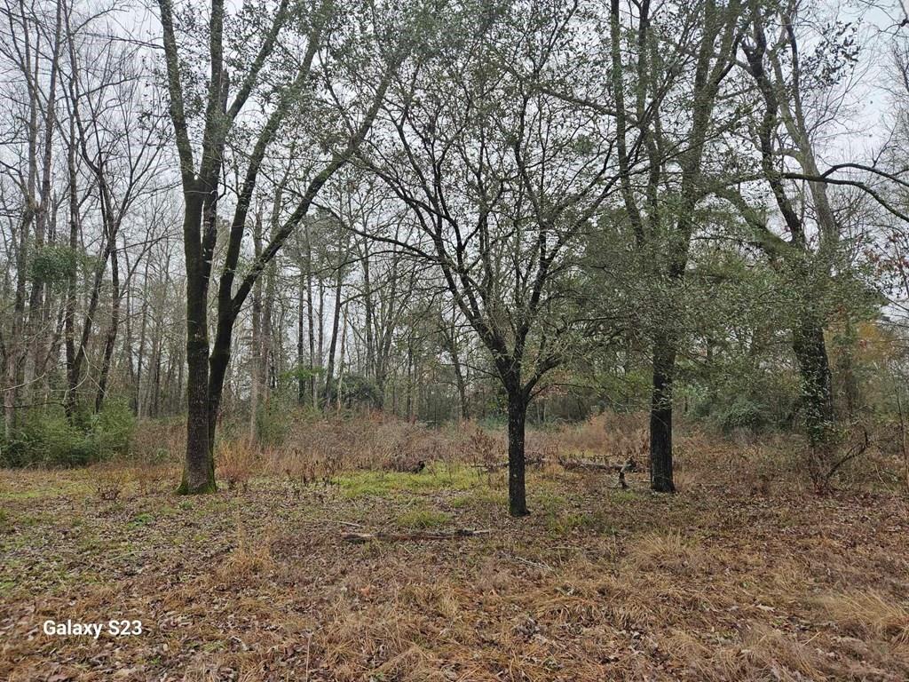 148 Lancewood Circle, Lufkin, Texas image 17