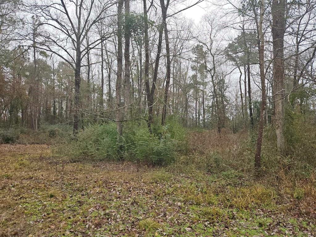 148 Lancewood Circle, Lufkin, Texas image 11