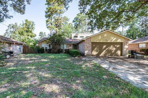 A home in Woodbranch