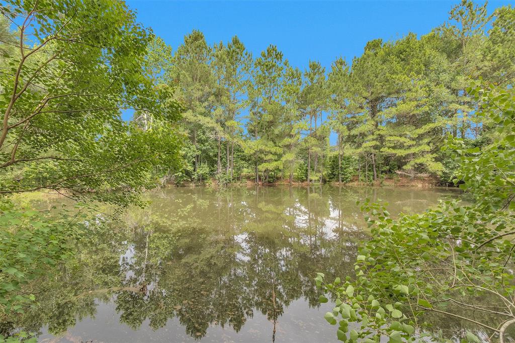 18721 Dalton Willis Drive, Montgomery, Texas image 40