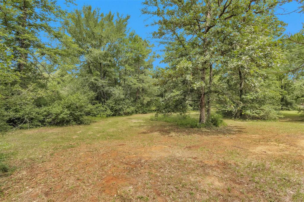 18721 Dalton Willis Drive, Montgomery, Texas image 39