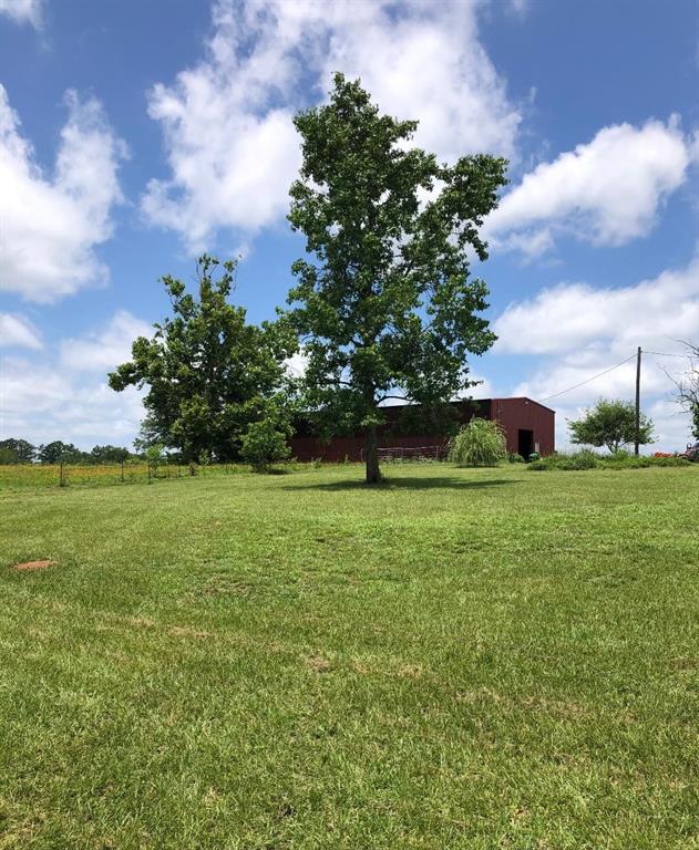 14195 Us Highway 287, Grapeland, Texas image 10