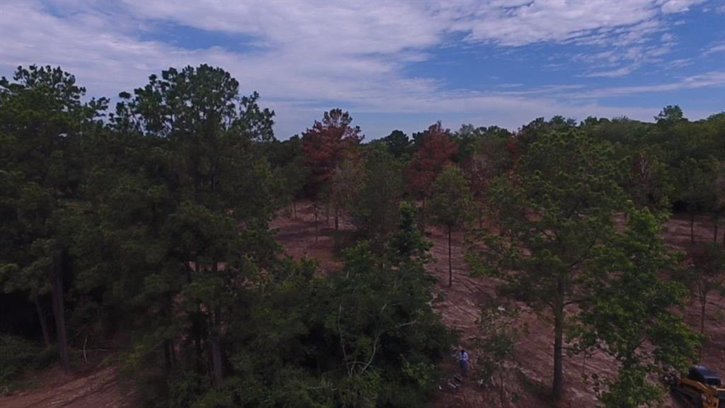 12939 Rose Road, Willis, Texas image 7