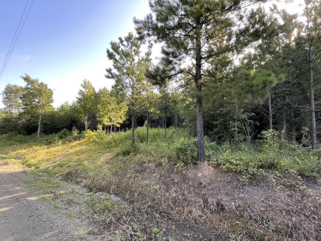 TBD (Lot 45) Cr 1060, Center, Texas image 11