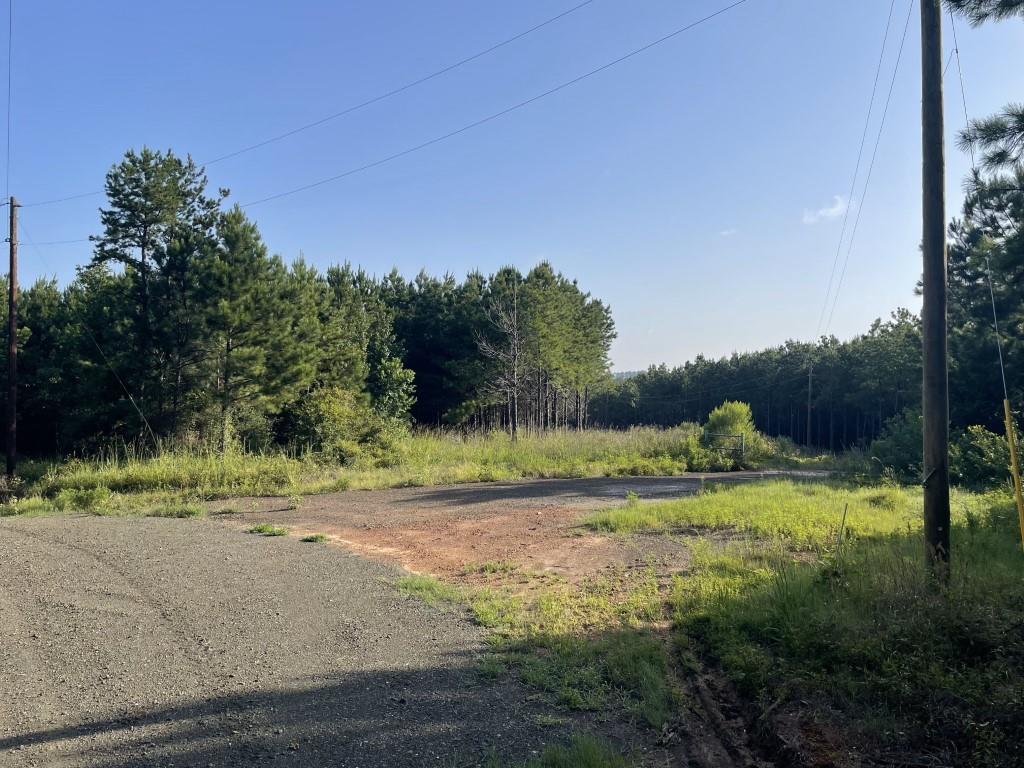 TBD (Lot 45) Cr 1060, Center, Texas image 6