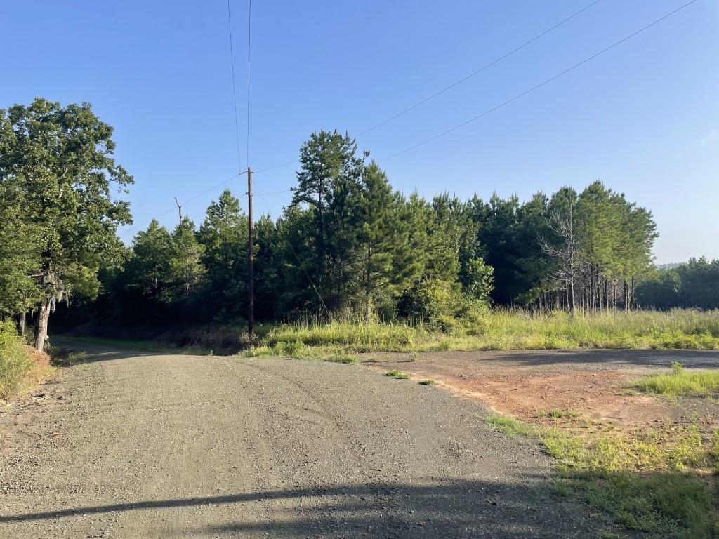 TBD (Lot 45) Cr 1060, Center, Texas image 4