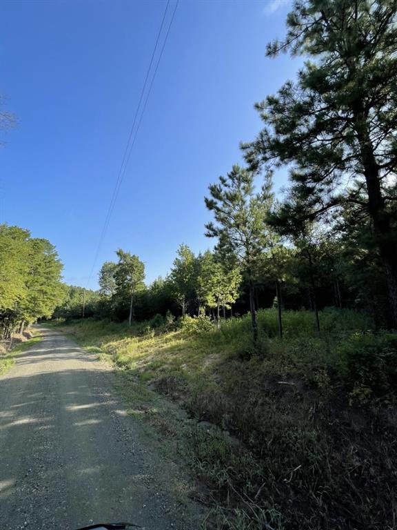 TBD (Lot 45) Cr 1060, Center, Texas image 12