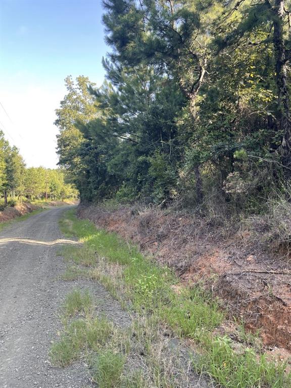 TBD (Lot 45) Cr 1060, Center, Texas image 10