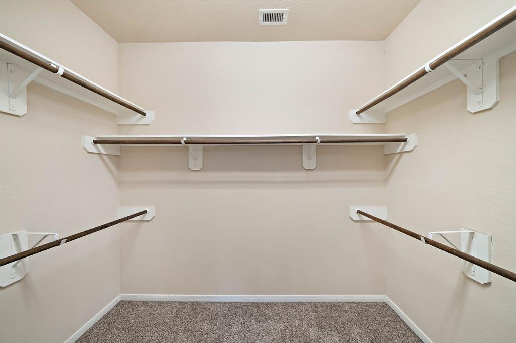 29006 Dryander Forest Court, Katy, Texas image 20