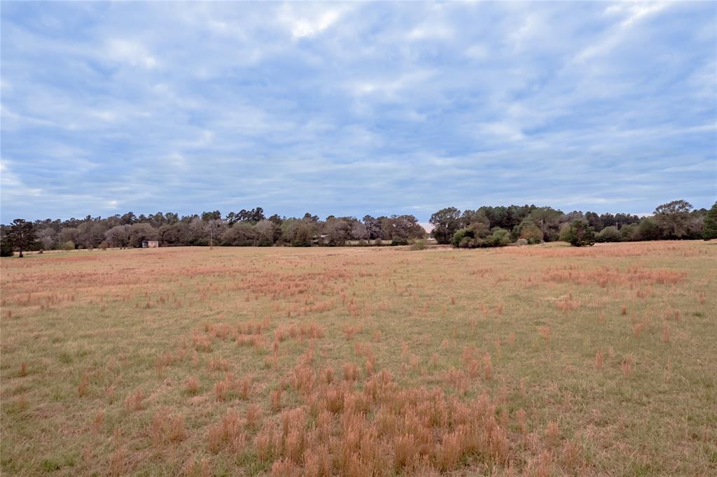0000 S Us Hwy 287, Crockett, Texas image 1