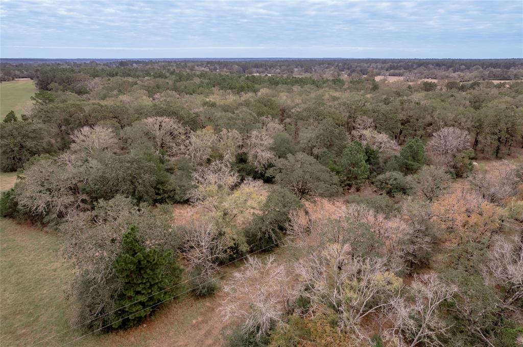 0000 S Us Hwy 287, Crockett, Texas image 39