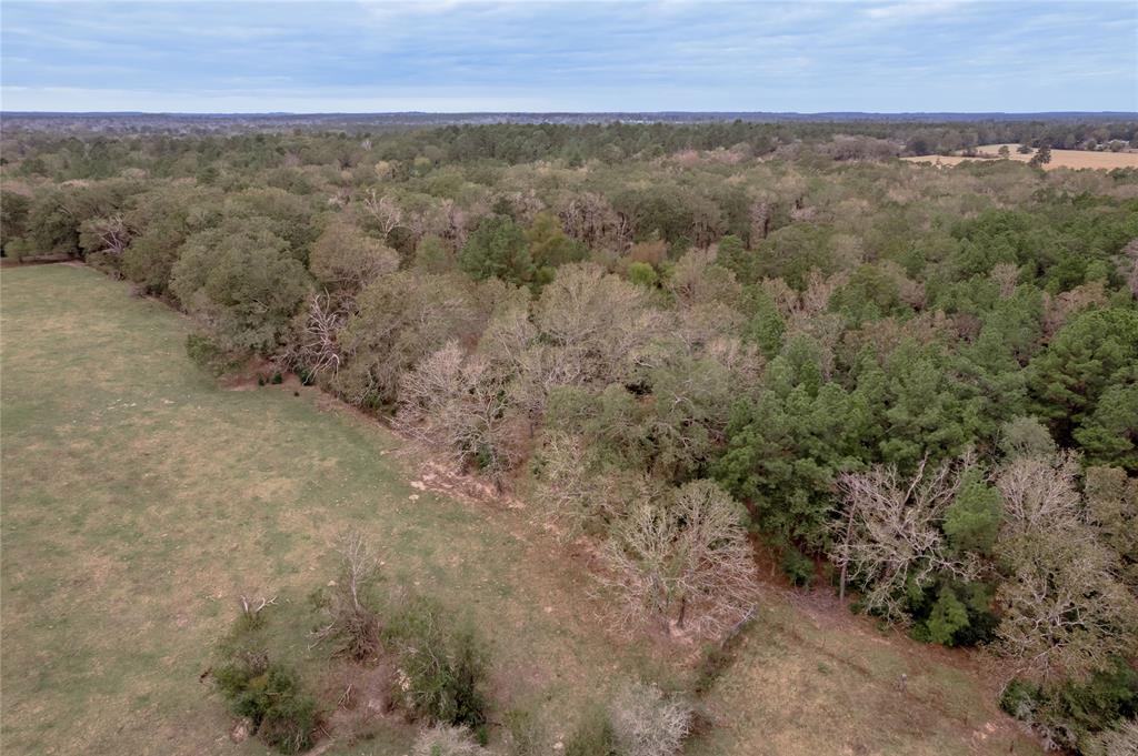 0000 S Us Hwy 287, Crockett, Texas image 31