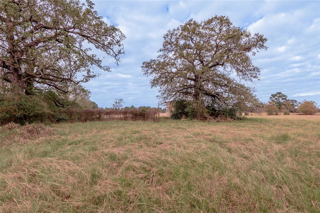 0000 S Us Hwy 287, Crockett, Texas image 13