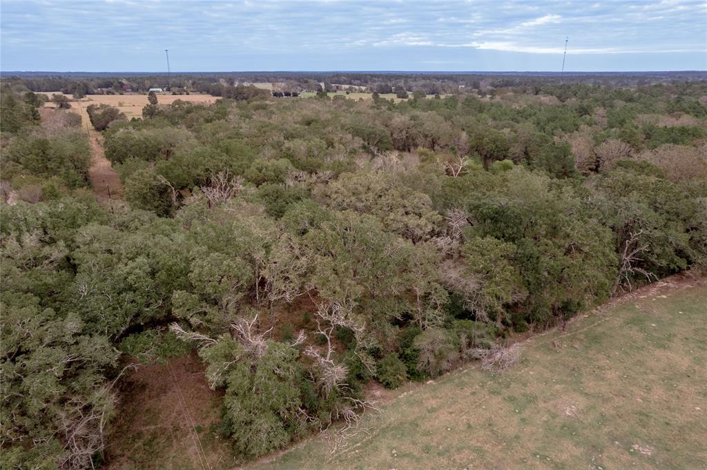 0000 S Us Hwy 287, Crockett, Texas image 32