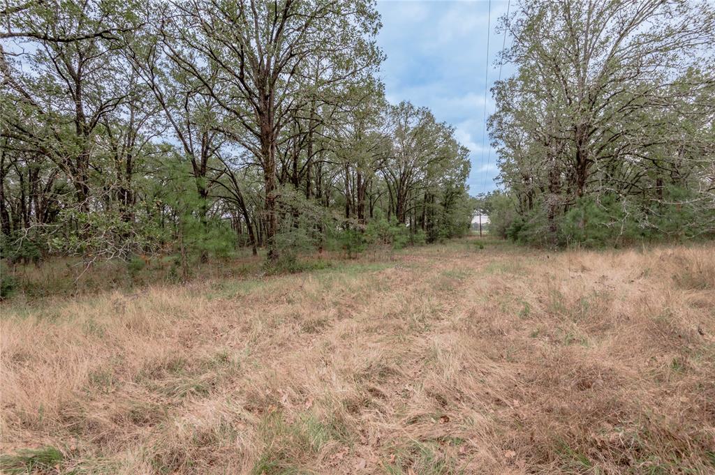 0000 S Us Hwy 287, Crockett, Texas image 14