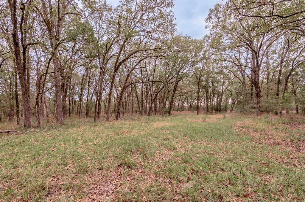 0000 S Us Hwy 287, Crockett, Texas image 17