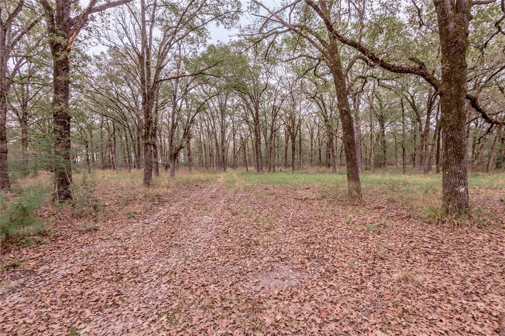0000 S Us Hwy 287, Crockett, Texas image 15