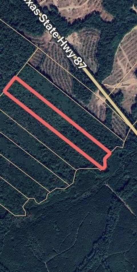 Vacant Land For Sale - 17796 Tx-87<br/> Shelby County, San Augustine, TX 75972