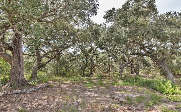 Tract 7 Pr 4061, Edna, Texas image 8