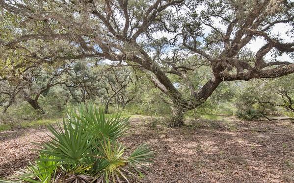 Tract 7 Pr 4061, Edna, Texas image 7