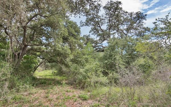 Tract 7 Pr 4061, Edna, Texas image 3