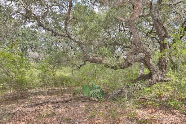 Tract 7 Pr 4061, Edna, Texas image 5