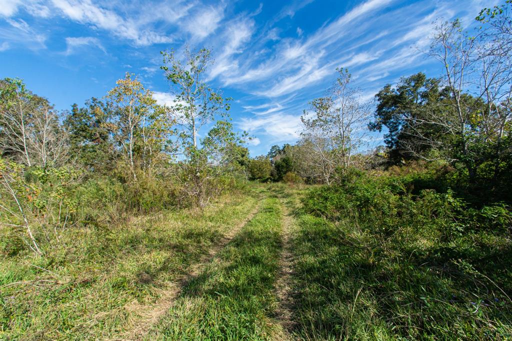 TBD Hwy 36, Jones Creek, Texas image 3