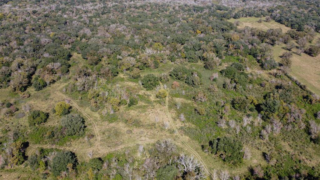 TBD Hwy 36, Jones Creek, Texas image 6