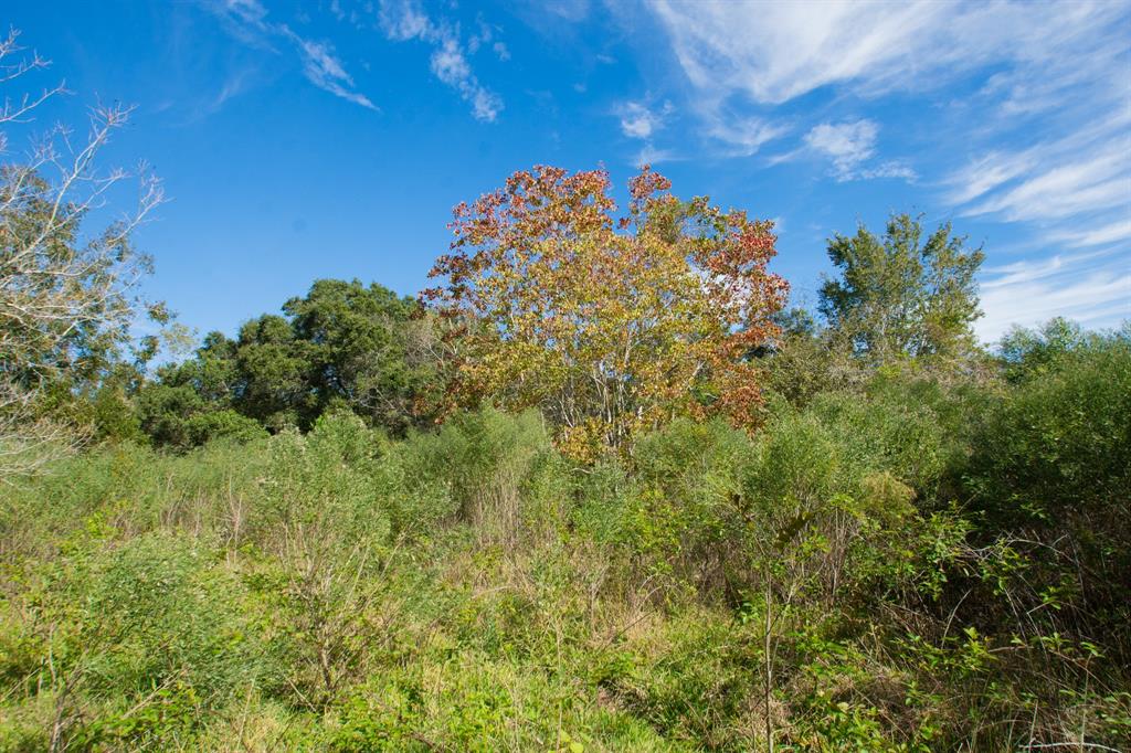 TBD Hwy 36, Jones Creek, Texas image 12