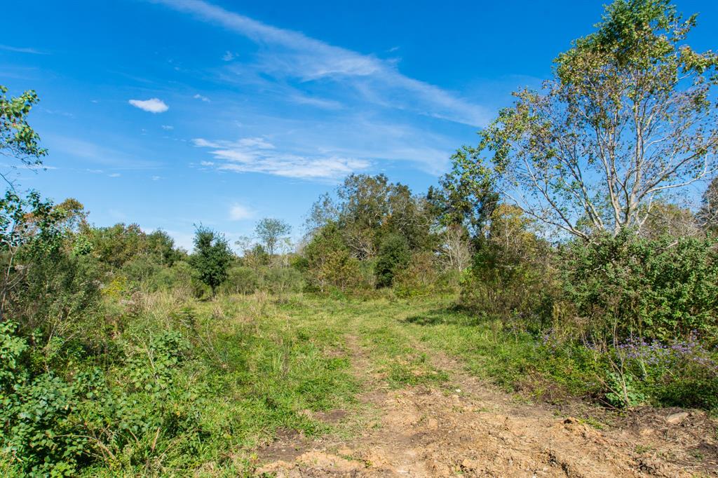 TBD Hwy 36, Jones Creek, Texas image 14