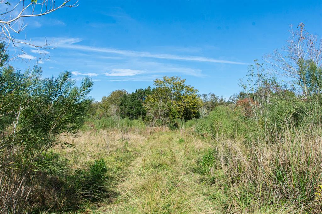 TBD Hwy 36, Jones Creek, Texas image 10