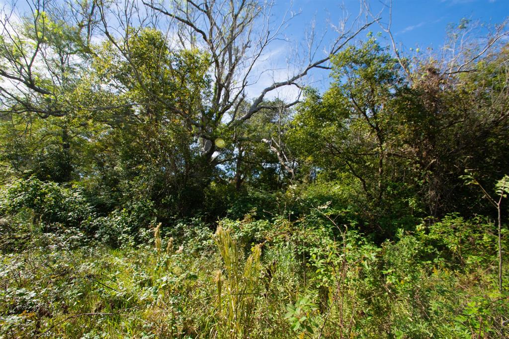 TBD Hwy 36, Jones Creek, Texas image 21