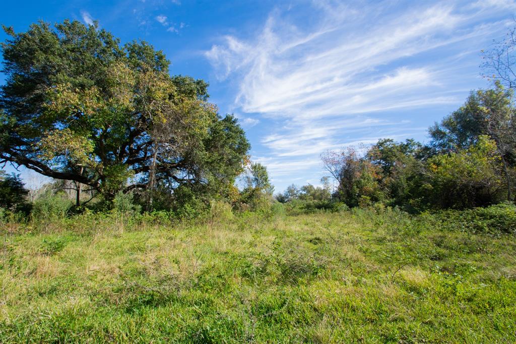 TBD Hwy 36, Jones Creek, Texas image 1