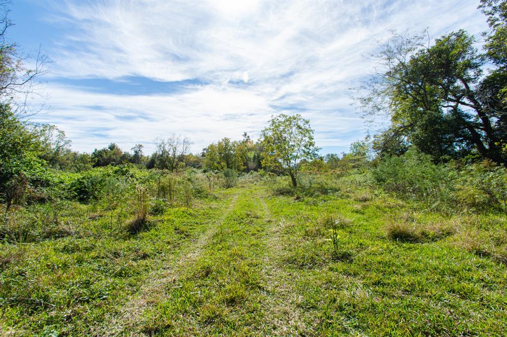 TBD Hwy 36, Jones Creek, Texas image 9