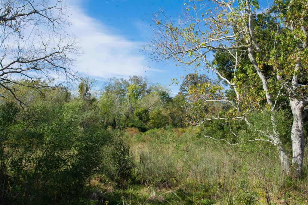 TBD Hwy 36, Jones Creek, Texas image 20