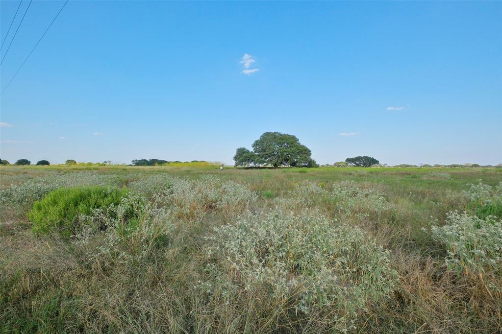 Lot 102 Pintail Lane, Columbus, Texas image 5