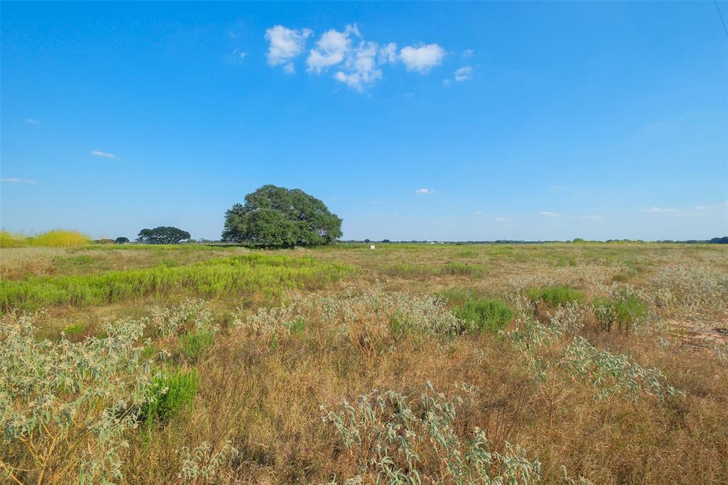 Lot 102 Pintail Lane, Columbus, Texas image 3