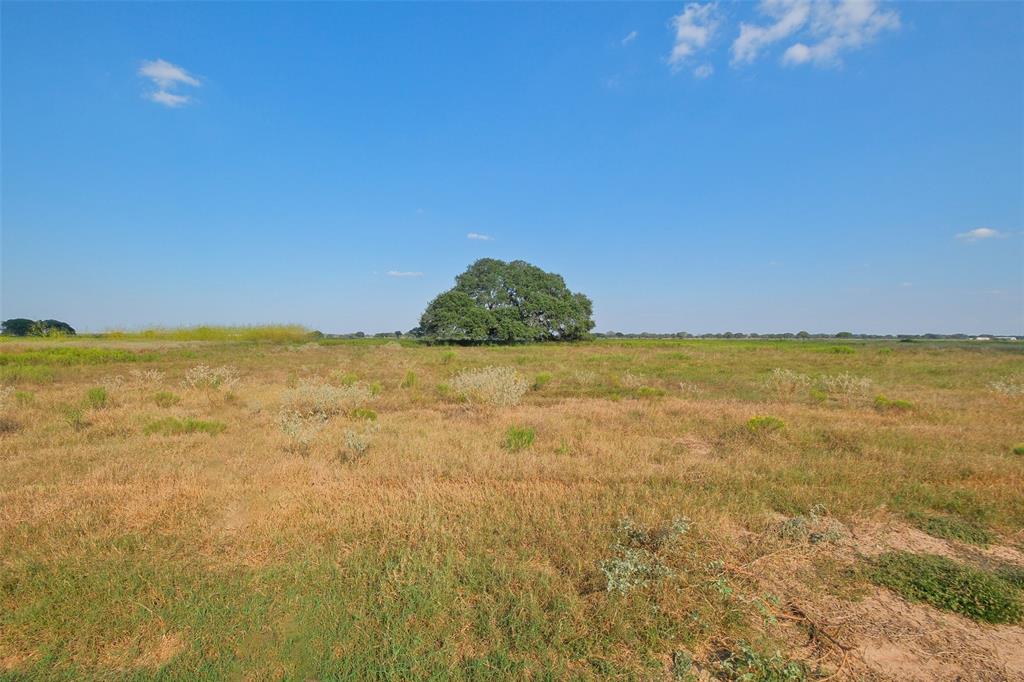 Lot 102 Pintail Lane, Columbus, Texas image 4