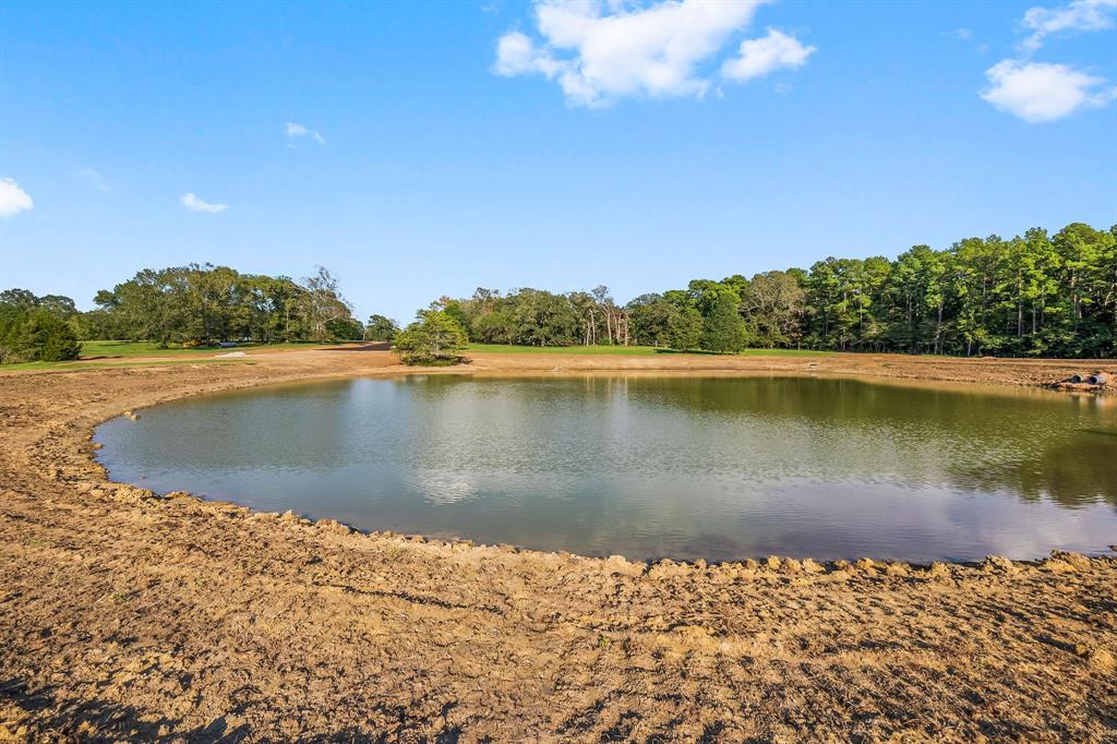 Lot 3 Alans Memorial Lane, New Waverly, Texas image 9