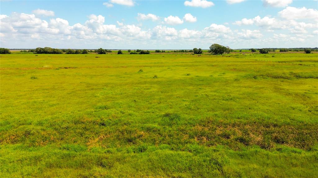 TBD County Road 466 Road, Palacios, Texas image 5