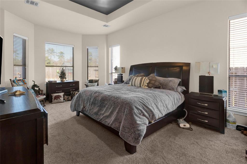 22734 Newcourt Place Street, Tomball, Texas image 14