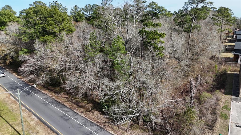 Roman Forest Blvd, New Caney, Texas image 4