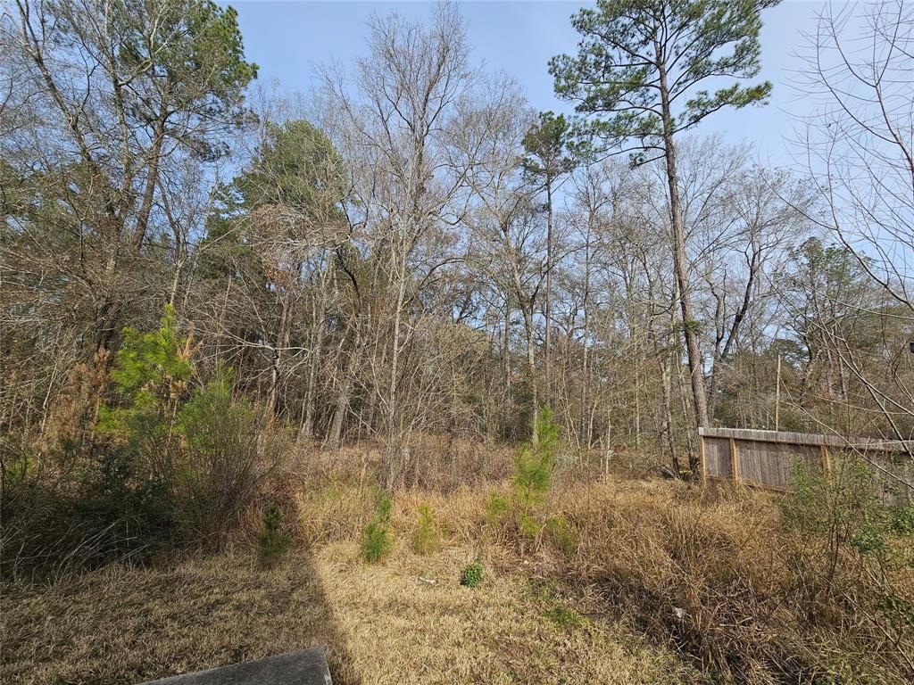Photo of 0 Roman Forest Blvd, New Caney, TX 77357 (MLS # 38656862)