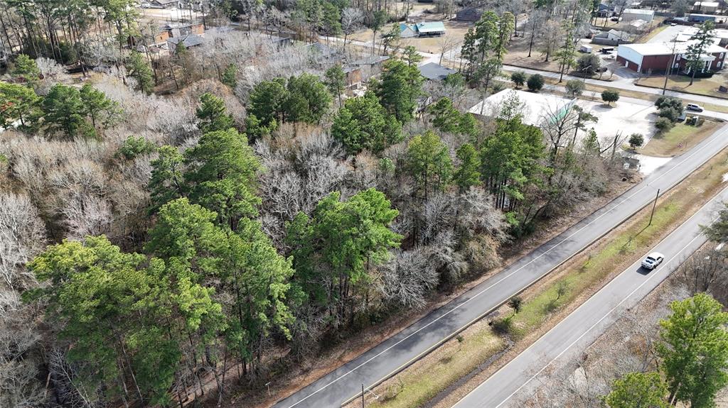 Roman Forest Blvd, New Caney, Texas image 8