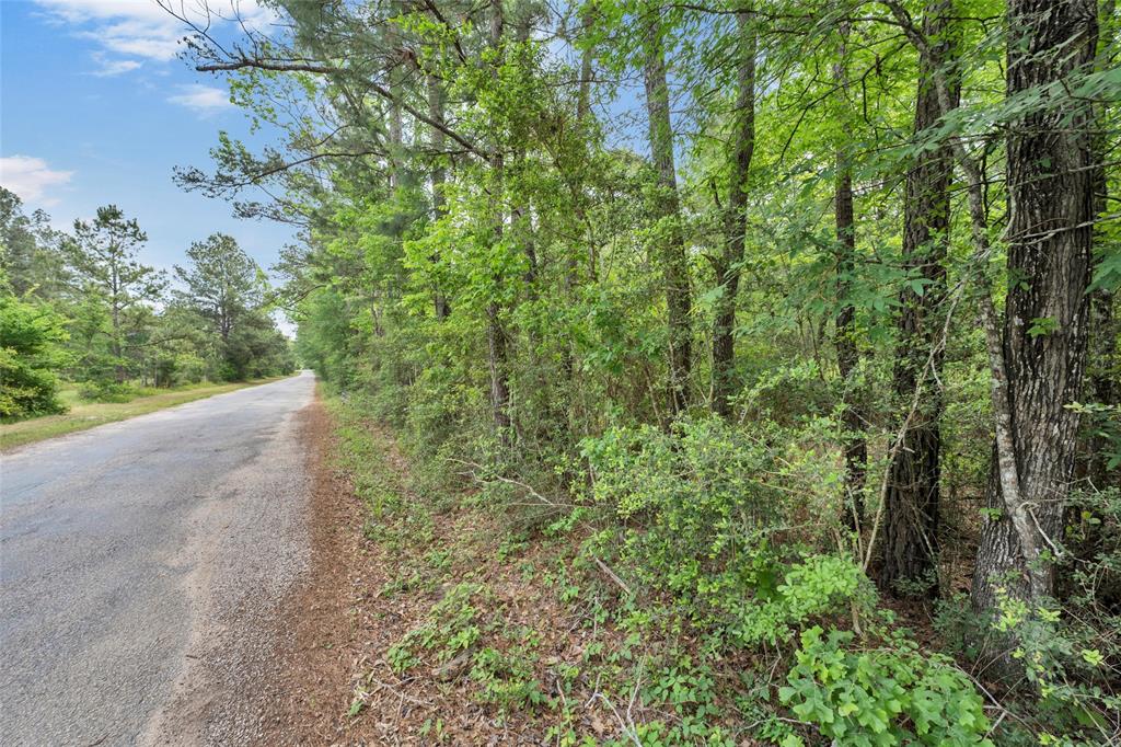 TBD Lot 2 Pool Rd, Richards, Texas image 16