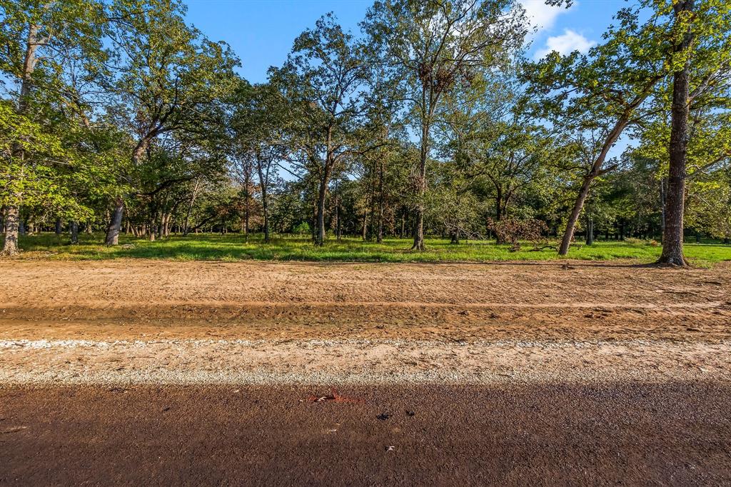 Lot 14 Alans Memorial Lane, New Waverly, Texas image 2