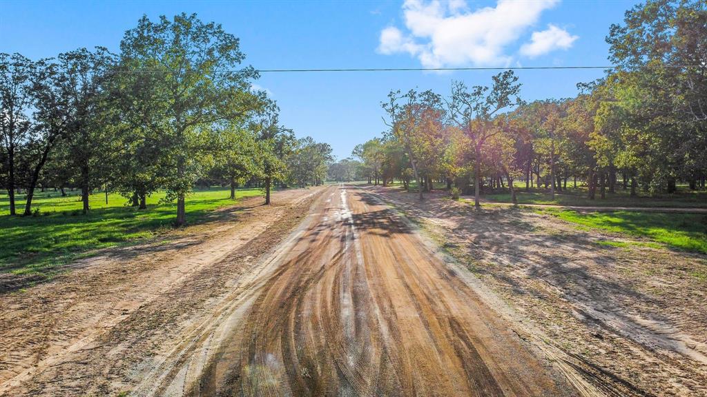 Lot 14 Alans Memorial Lane, New Waverly, Texas image 7