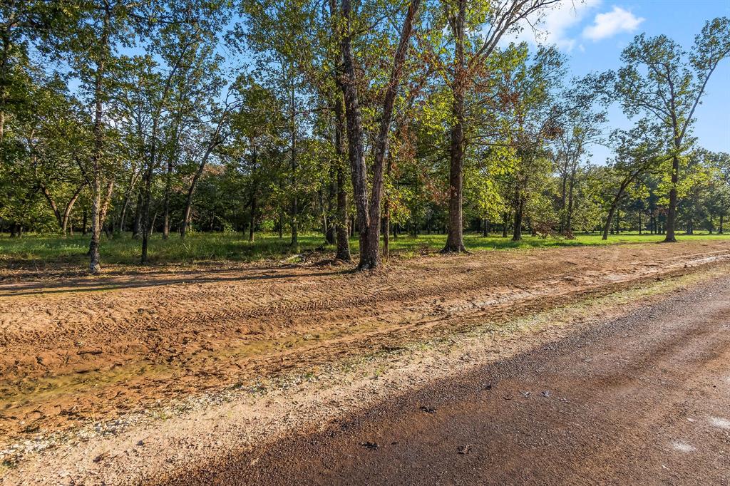 Lot 14 Alans Memorial Lane, New Waverly, Texas image 3