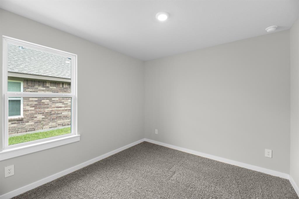 1510 Native Reef, Iowa Colony, Texas image 19
